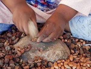 Método tradicional de extracción del aceite de argán