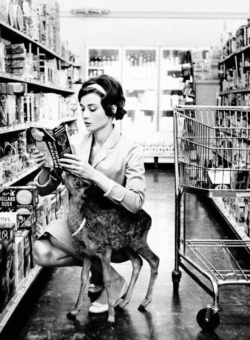 7cd7f011744df96bdc4e31b636ee5e03