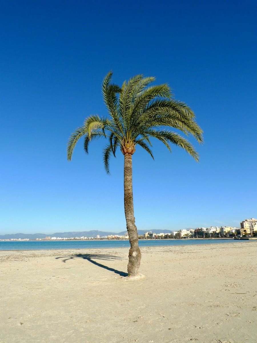 mallorca island livelovepolly by paula casielles 1