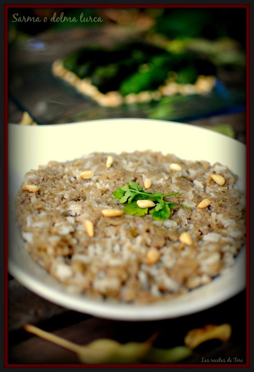 Sarma o dolma turca tererecetas 02