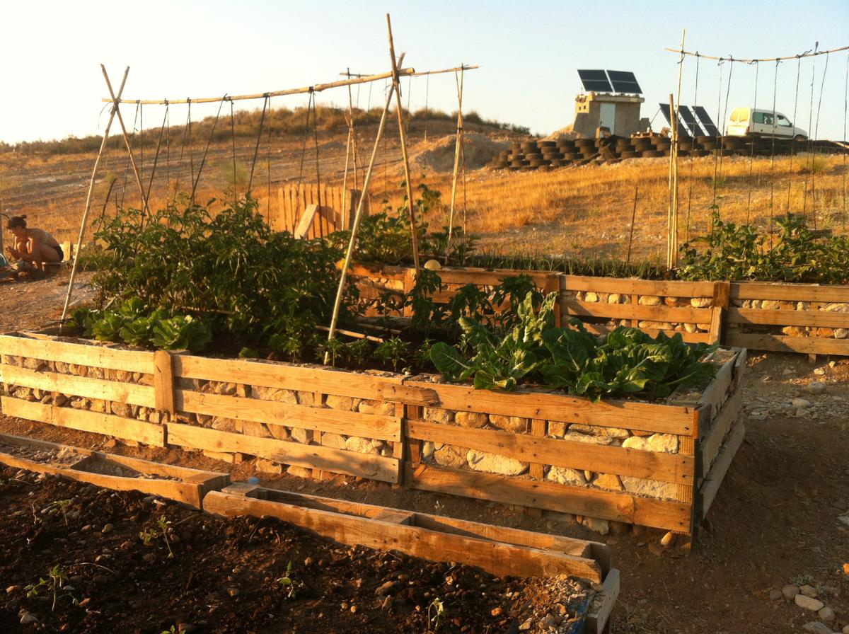 Bancales elevados Aloe de Sorbas