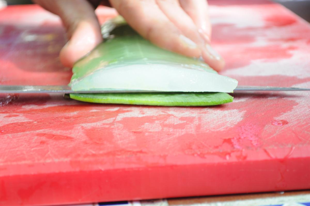 Extracción gel Aloe Vera