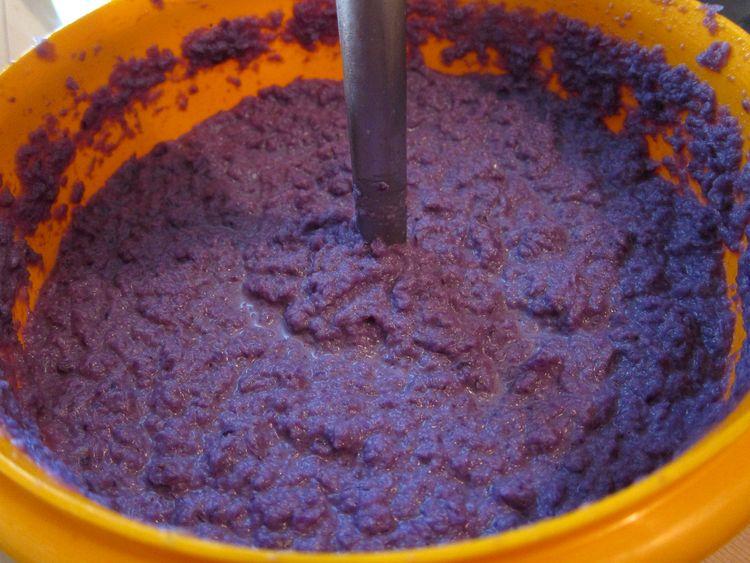 crema-col-lombarda-con-ricotta-0