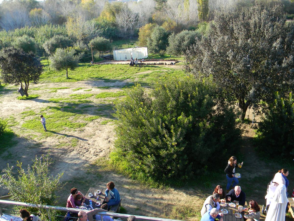 JARDIN CENTRO VISITANTES GUADIAMAR