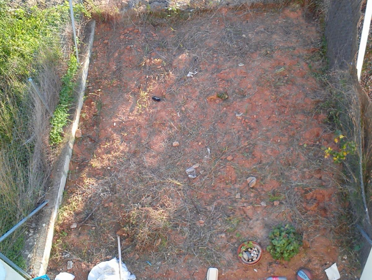 garden, huerto, jardín, desbrozar