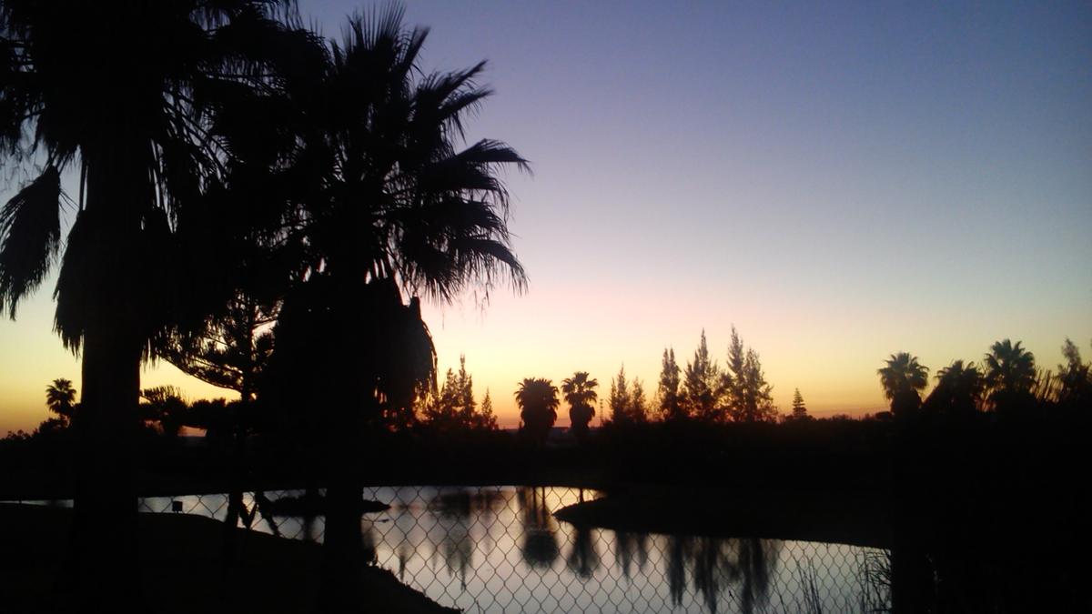 huerto, desbrozar, preparar terreno