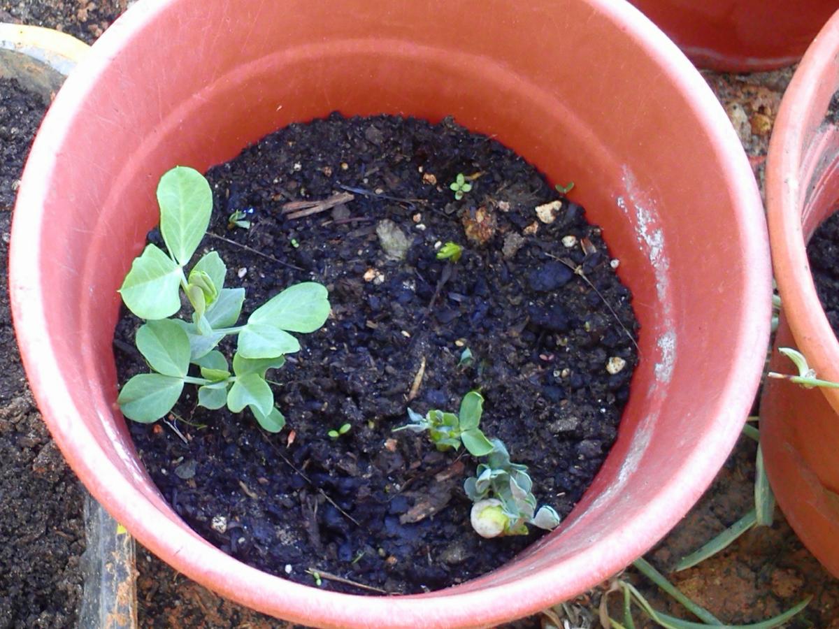 10-2014-04-08 08.59.18