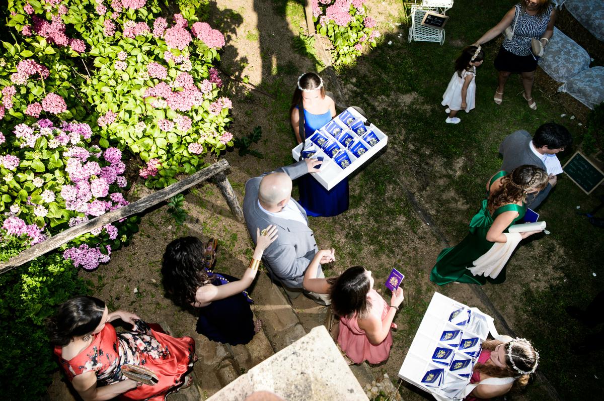 repartiendo pasaportes