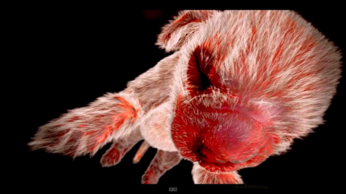 Captura de pantalla (561)