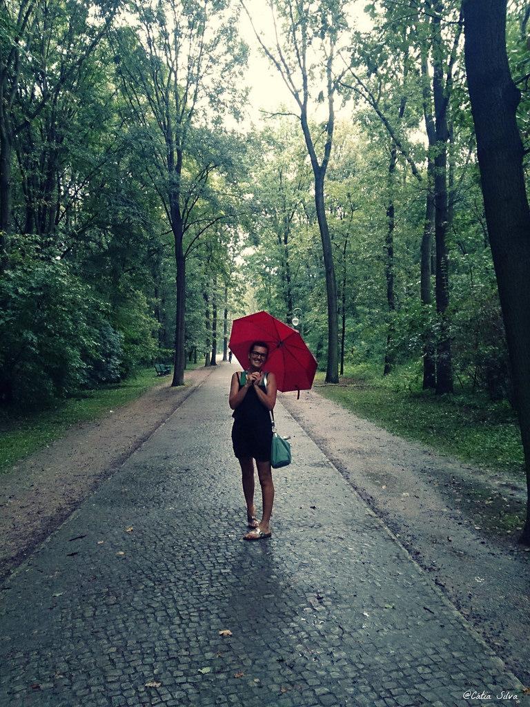 Around Berlin (5) Tiergarten