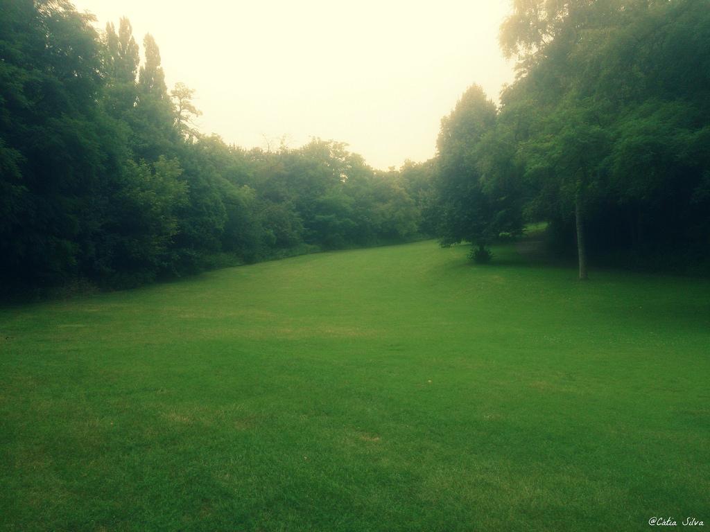 Around Berlin (1) Volkspark Rehberge