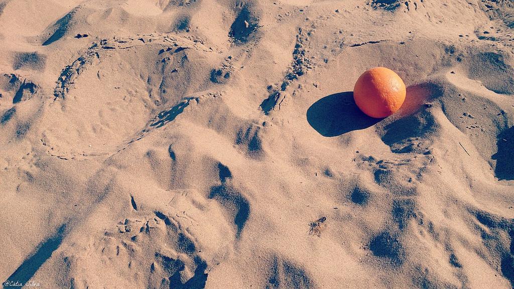 Invierno Valenciano en bici (6)