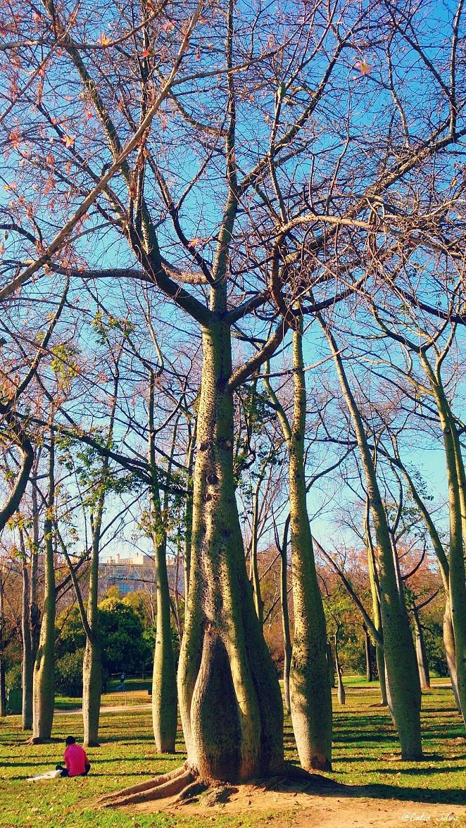 Invierno Valenciano en bici (12)