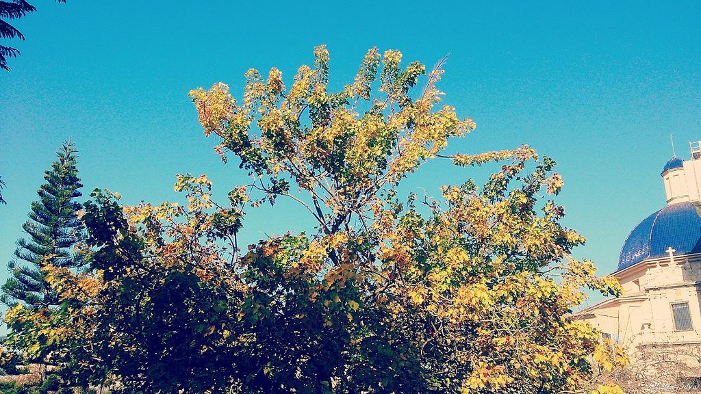 Invierno Valenciano en bici (14)