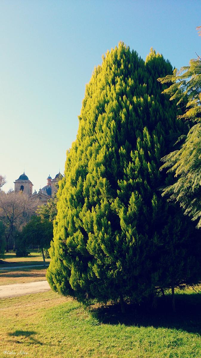 Invierno Valenciano en bici (13)