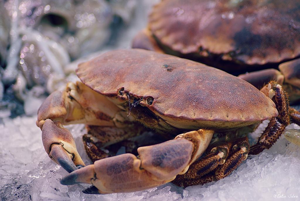 Mercado Central de Valencia (4)