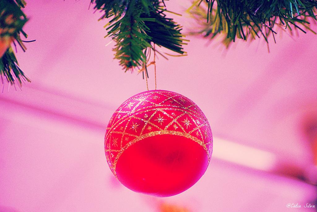 Mercado Central de Valencia (5)