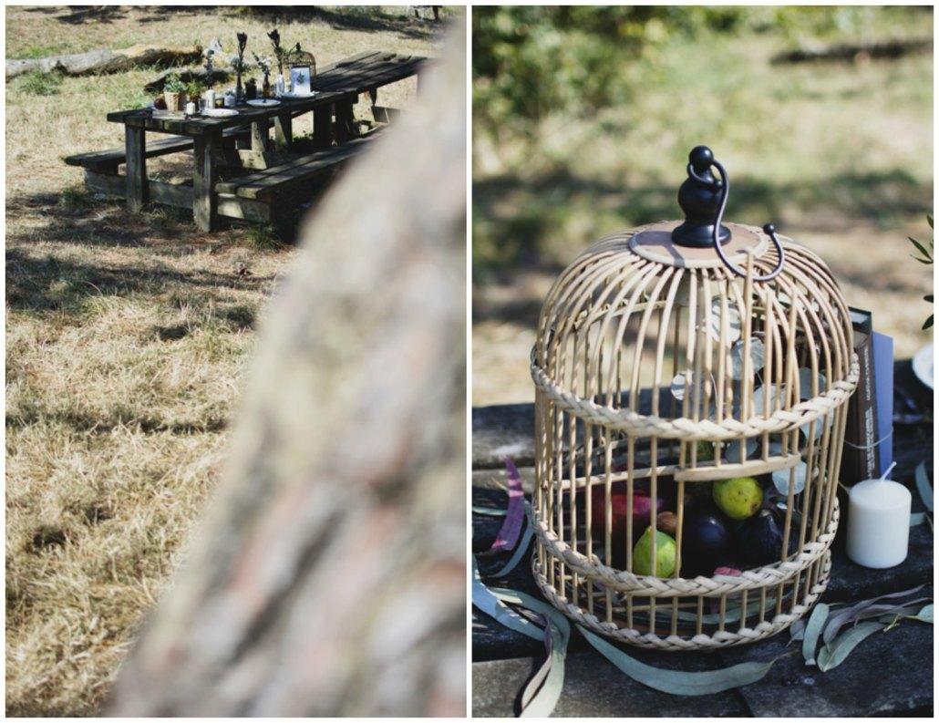 celebración entre árboles