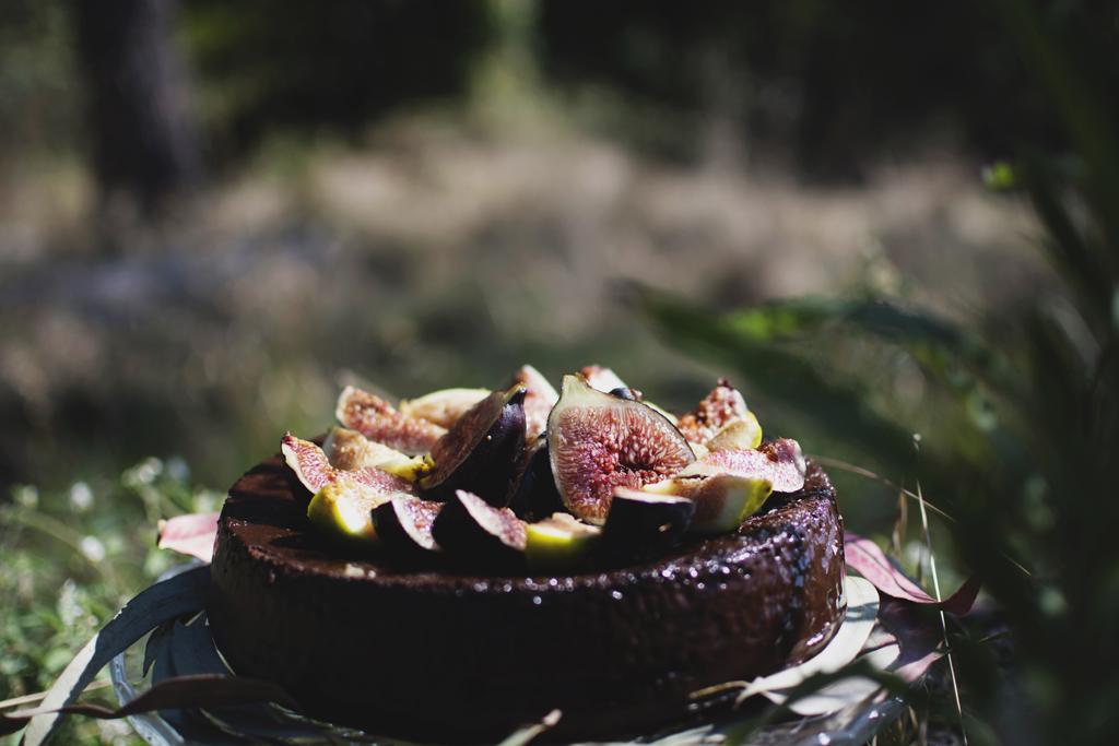 celebración entre árboles