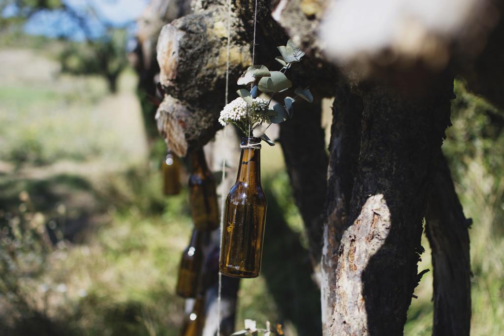 celebración entre árboles