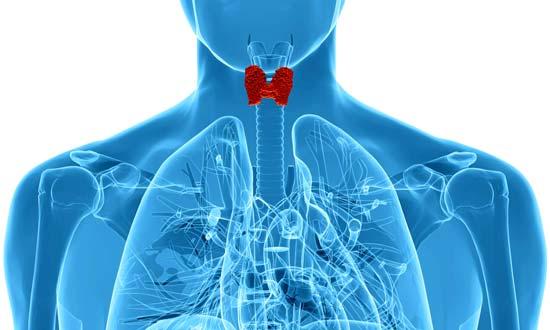 diagnosticar el hipotiroidismo