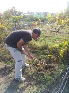 Bancal lleno de grama