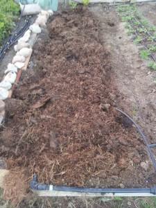 Bancal con estiércol