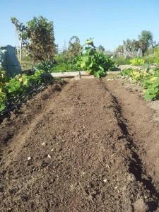 Que bonito queda después de la currada