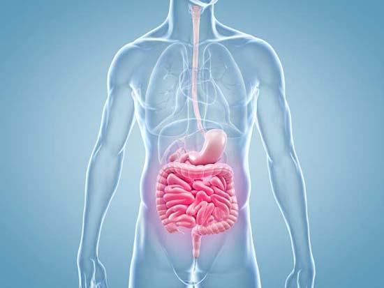 Remedios naturales disponibles para el reflujo gástrico