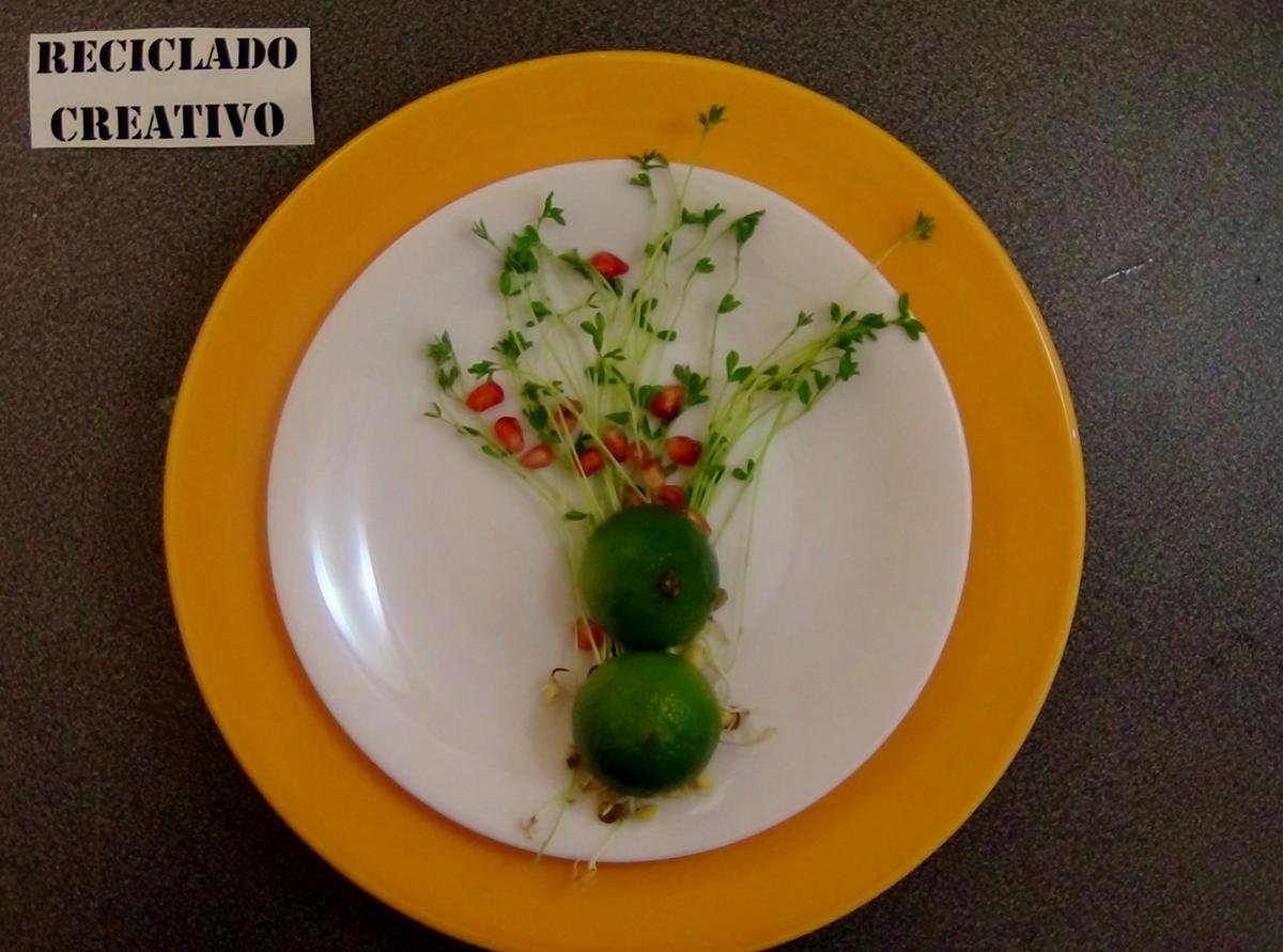 Lentejas germinadas en casa