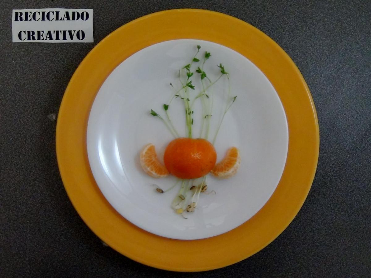 Lentejas germinadas en casa