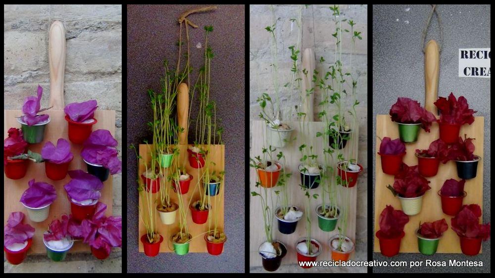 Cápsulas de café recicladas, Mini Jardín Vertical decorativo