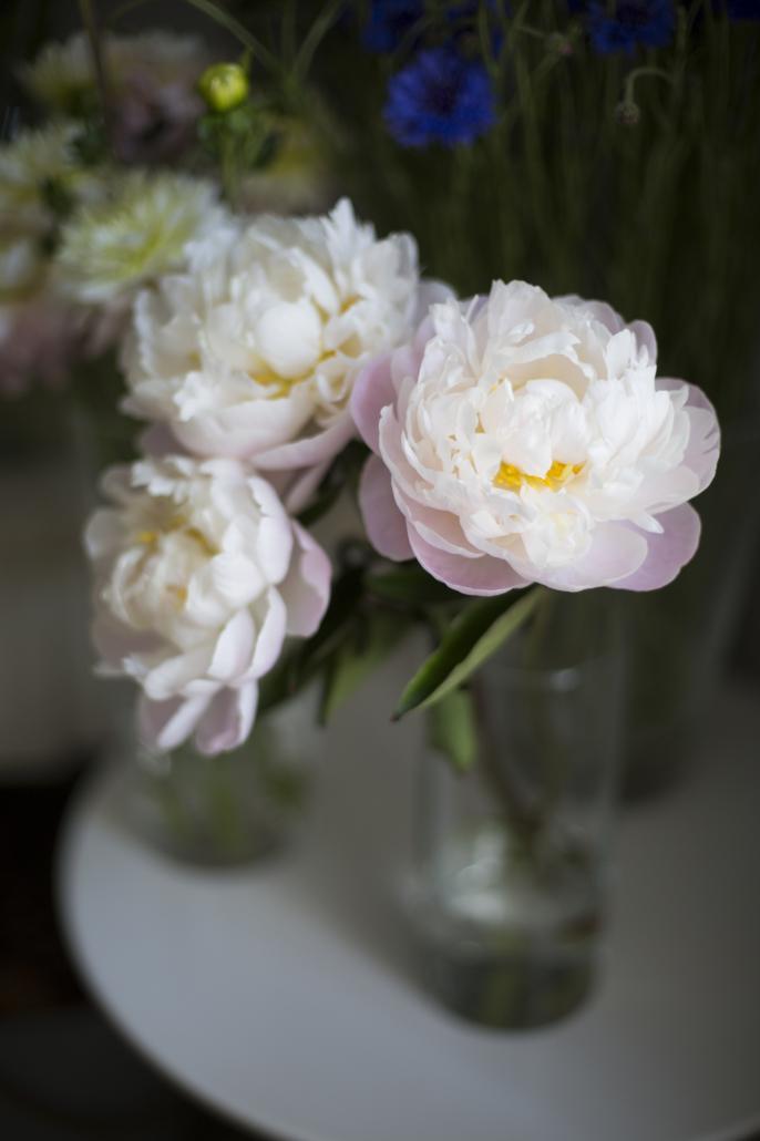 Pon-flores-en-tu-vida (10)