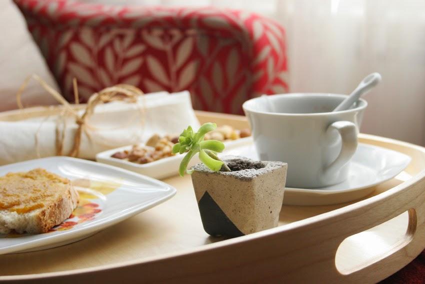 Diy Floreros de cemento pintados con suculentas8