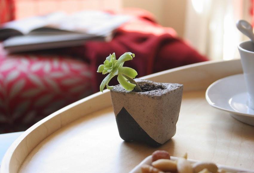 Diy Floreros de cemento pintados con suculentas10