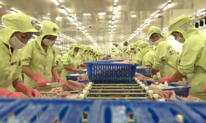 3 Documentales imprescindibles. Pescado ¿no tan sano? | Esturirafi