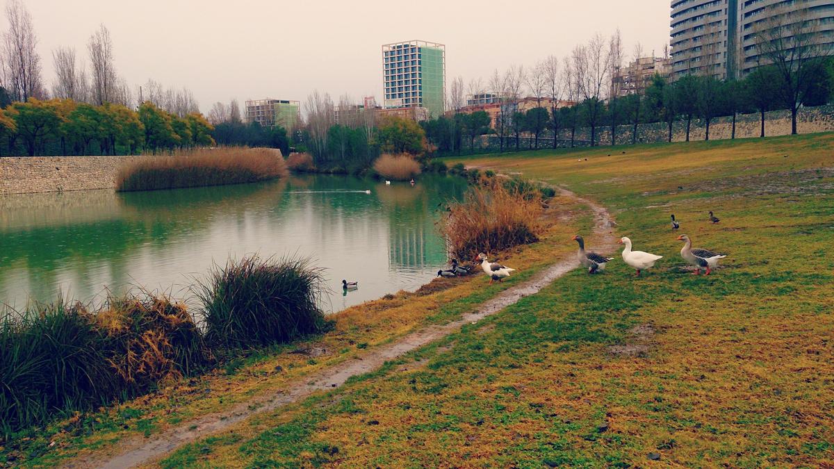 Valencia_Jardines del Turia (6)