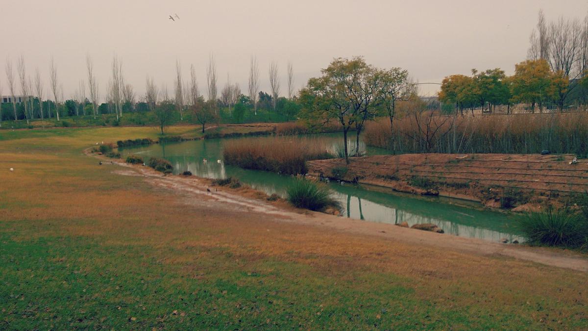Valencia_Jardines del Turia (7)