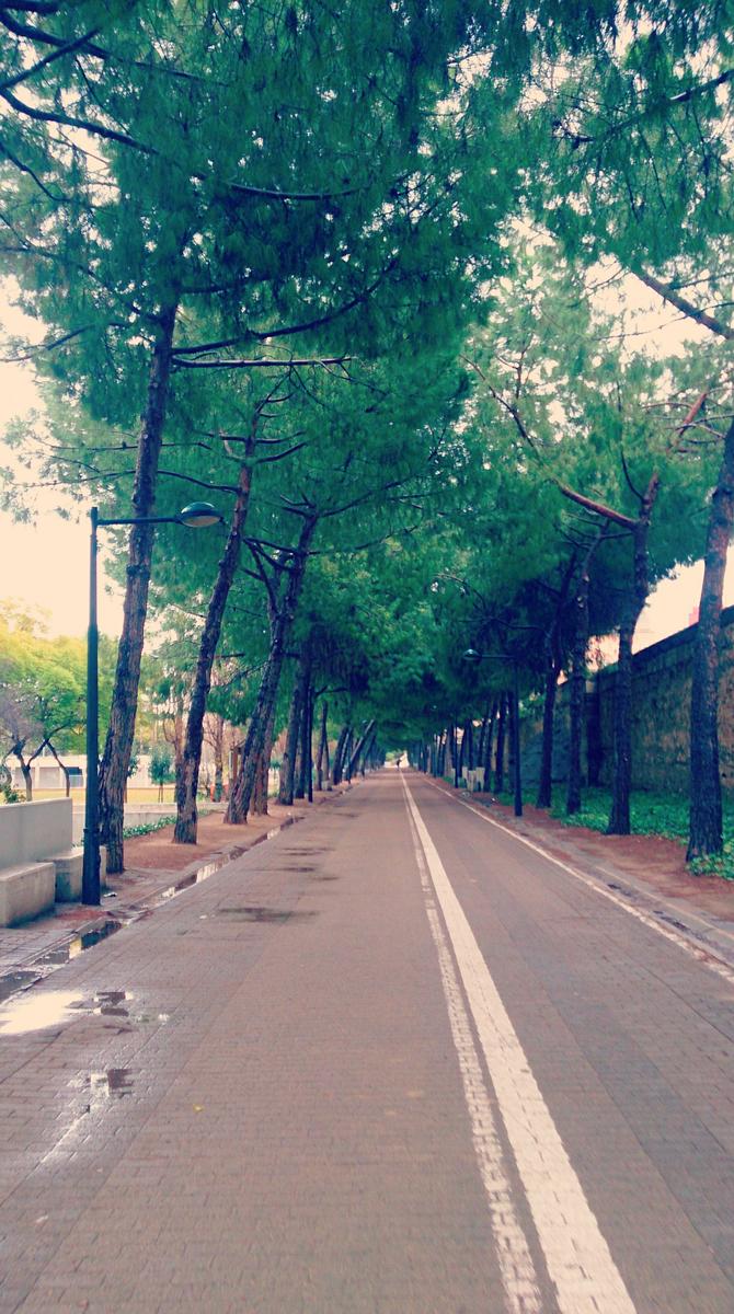 Valencia_Jardines del Turia (11)