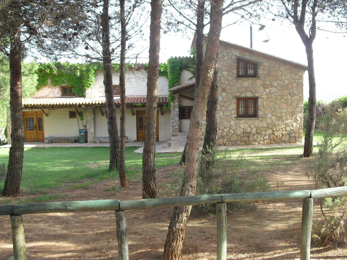 CIMG1651 salon social