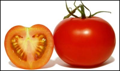 Estar-a-dieta-final-002