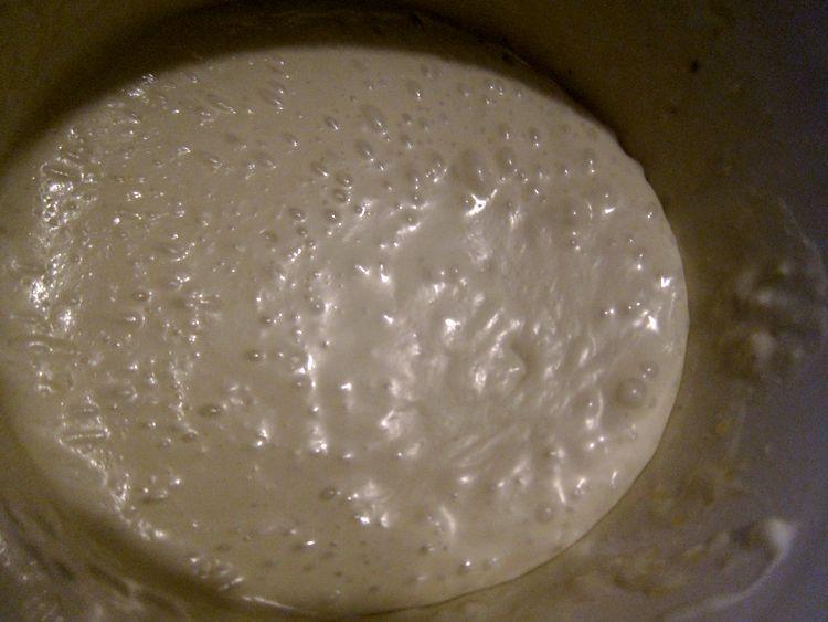 Endivias-con-salsa-de-yogur-gorgonzola-y-nueces-