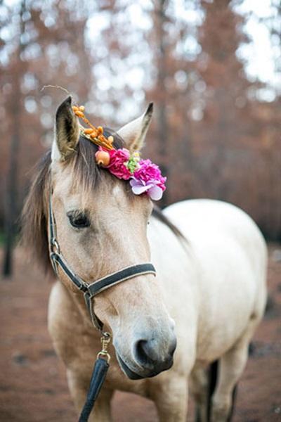 boda_1001-noches-flamenca_EDISEE_Diana-Feldhaus.13