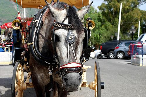 Con Jaeces y a lo Loco