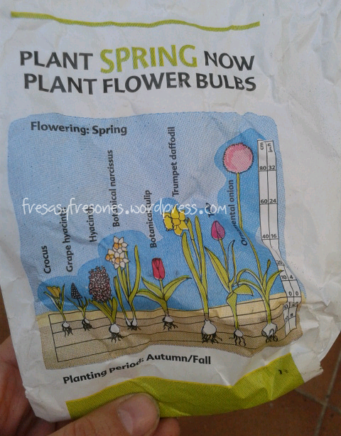 Información de cómo plantar los bulbos.