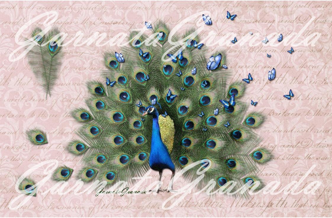 Ref. 239 - Polipiel estampada modelo Pavo Real tamaño 12.5x19 cm Precio: 2 â?¬ (envío no incluido) Estampado exclusivo de GarnataGranada Polipiel de gran calidad, fabricada en España, de 490 g/m², con grabado grueso.