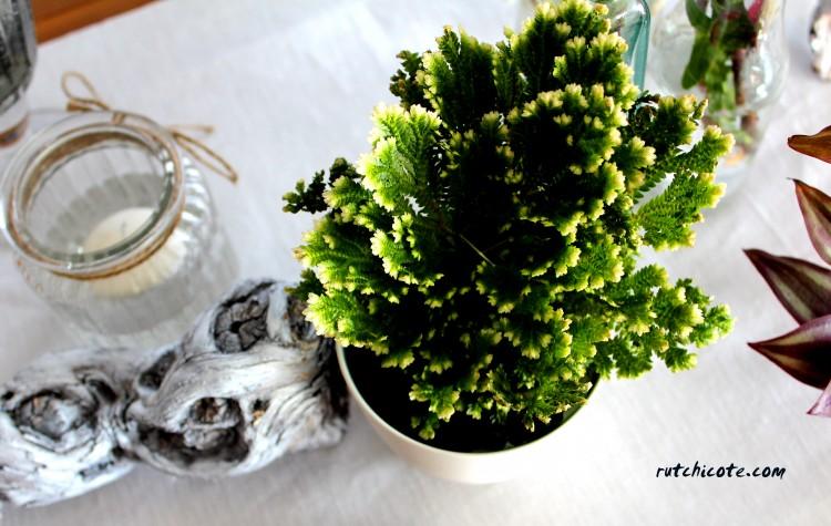 Diariodecolove-mesa-para-dos-detalle del centro2