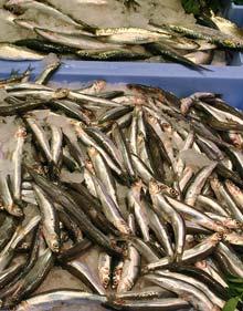 cáncer de próstata