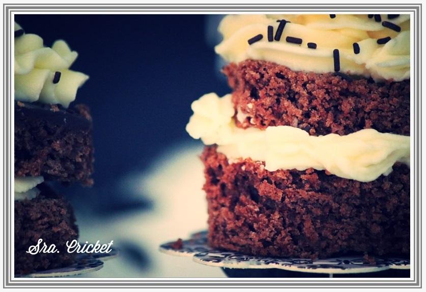 bizcocho jugoso de chocolate