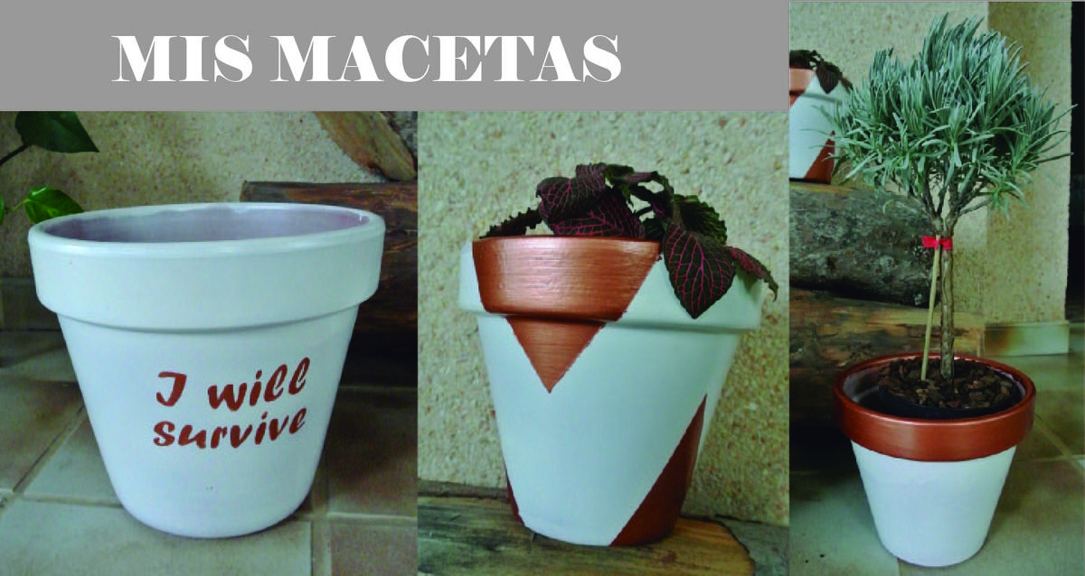 mism macetas-01